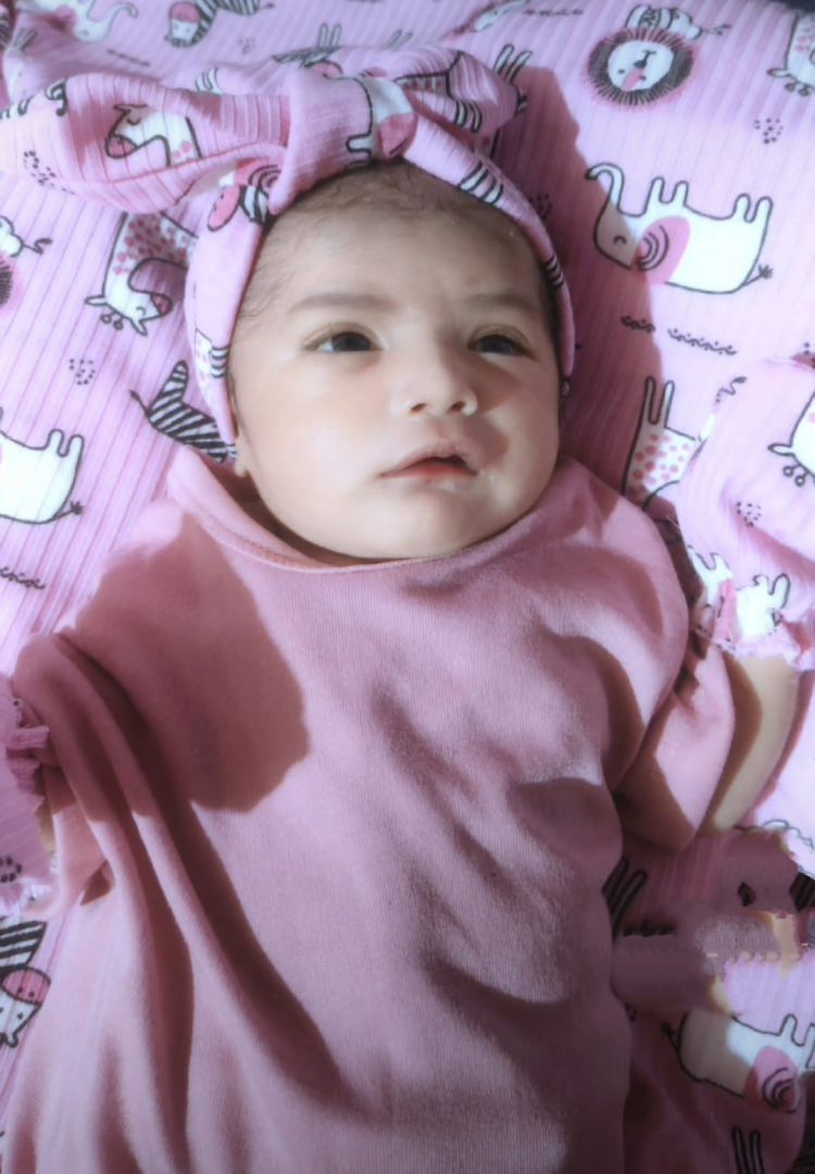https://shireenmaylafaishahasri.diaqiqah.com/dirmember/00000001/sriaras/photo-3763-1031-l-202410221053.jpg